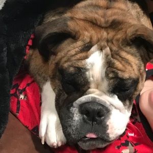 Meet your Posher, Christy